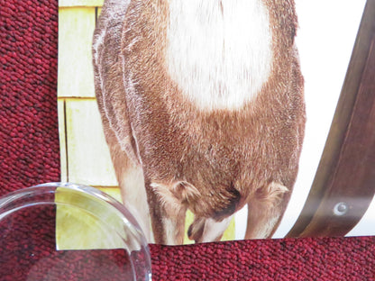 ARE WE DONE YET? US ONE SHEET ROLLED POSTER ICE CUBE NIA LONG 2007 - Rendezvous Cinema