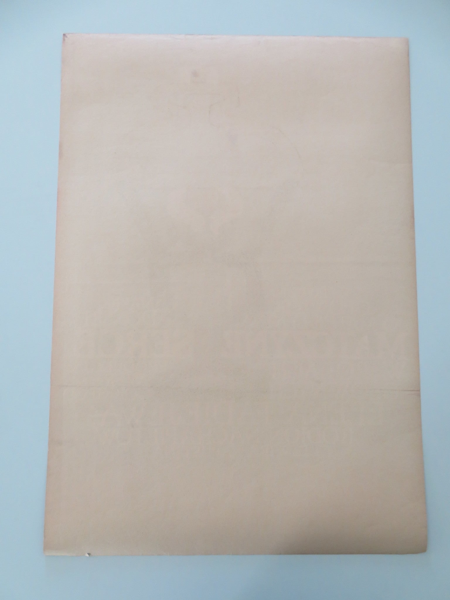 VERNOST MATERI POLISH POSTER ROLLED YELENA FADEYEVA NINA MENSHIKOVA 1967 - Rendezvous Cinema