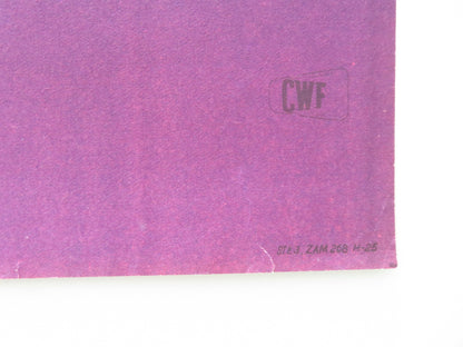 NEBESNYY TIKHOKHOD POLISH POSTER ROLLED NIKOLAY KRYUCHKOV VASILIY MERKUREV 1962 - Rendezvous Cinema