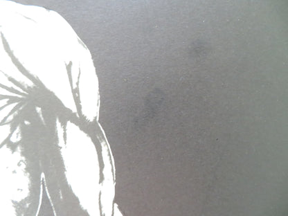 NASIMI CZECH POSTER ROLLED RASIM BALAYEV ISMAYIL OSMANLI 1975 - Rendezvous Cinema