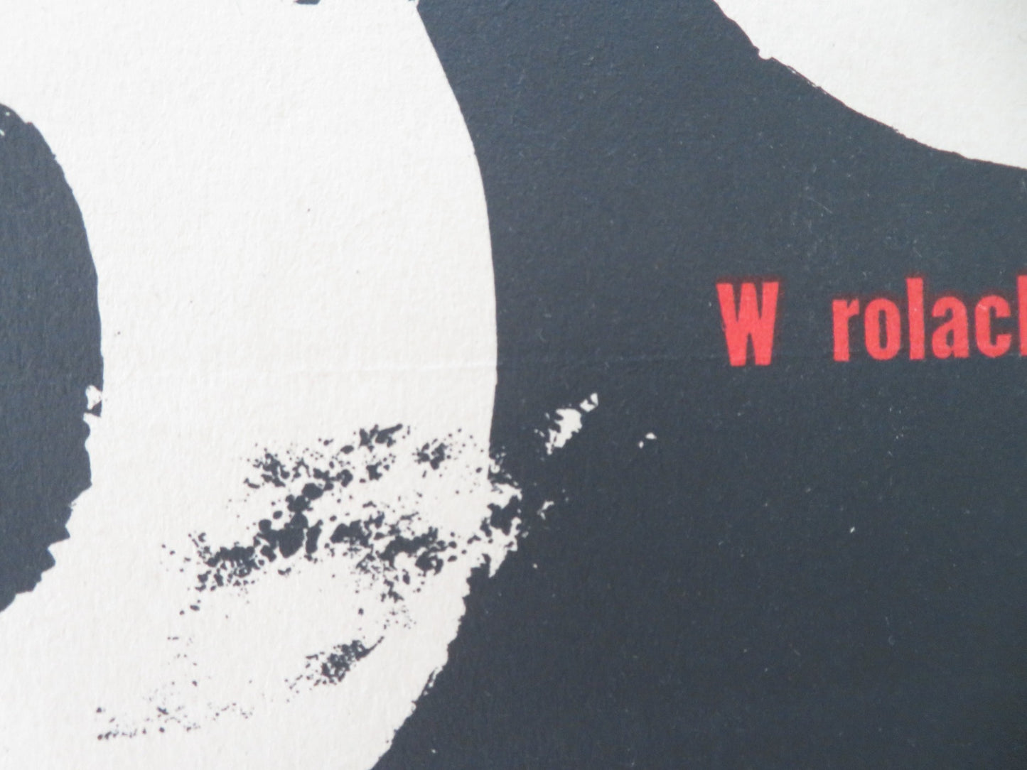 ZEJSCIE DO PIEKLA POLISH POSTER ROLLED PIOTR PAWLOWSKI WITOLD PYRKOSZ 1966 - Rendezvous Cinema