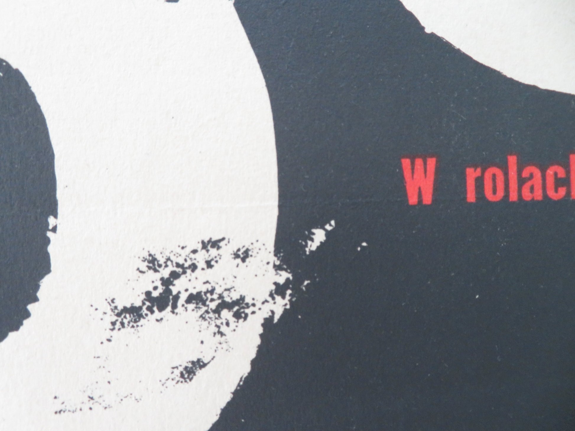 ZEJSCIE DO PIEKLA POLISH POSTER ROLLED PIOTR PAWLOWSKI WITOLD PYRKOSZ 1966 - Rendezvous Cinema