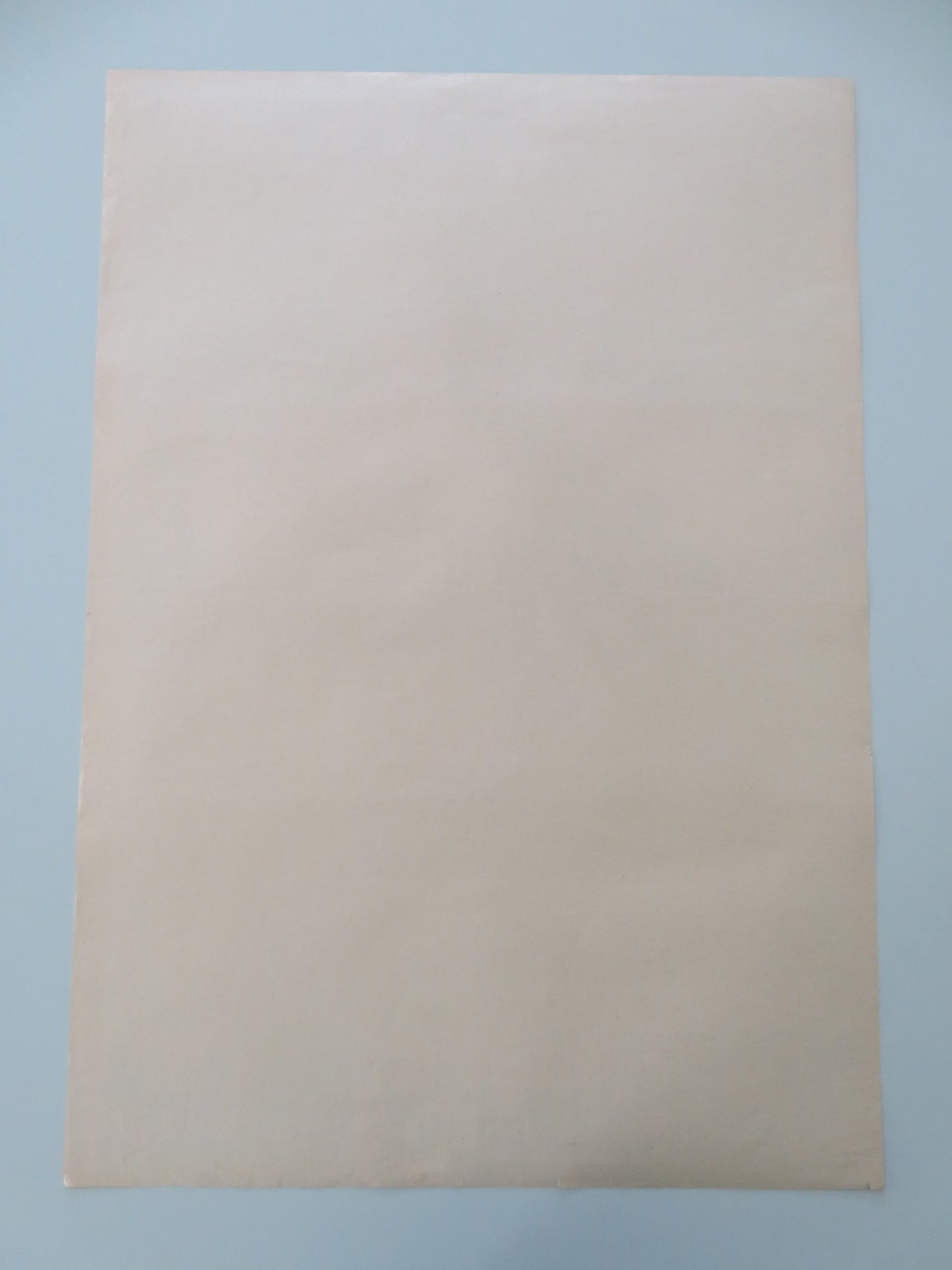 DROGA DO SOFII POLISH POSTER ROLLED 1979 - Rendezvous Cinema