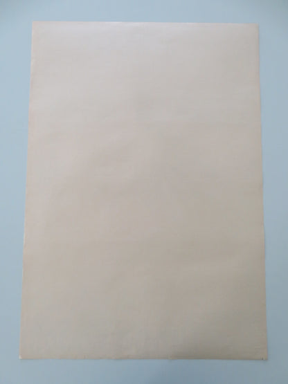 DROGA DO SOFII POLISH POSTER ROLLED 1979 - Rendezvous Cinema