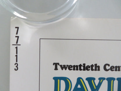 THUNDER AND LIGHTNING US HALF SHEET (22"x 28") POSTER DAVID CARRADINE 1977 - Rendezvous Cinema