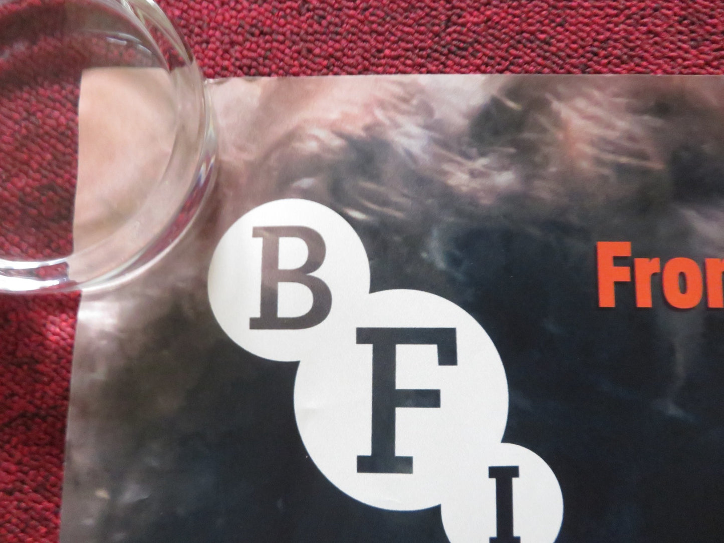 AMA GLORIA UK QUAD ROLLED POSTER LOUISE MAUROY-PANZANI ILCA MORENO ZEGO 2023 - Rendezvous Cinema