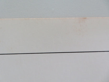 THUNDER AND LIGHTNING US HALF SHEET (22"x 28") POSTER DAVID CARRADINE 1977 - Rendezvous Cinema