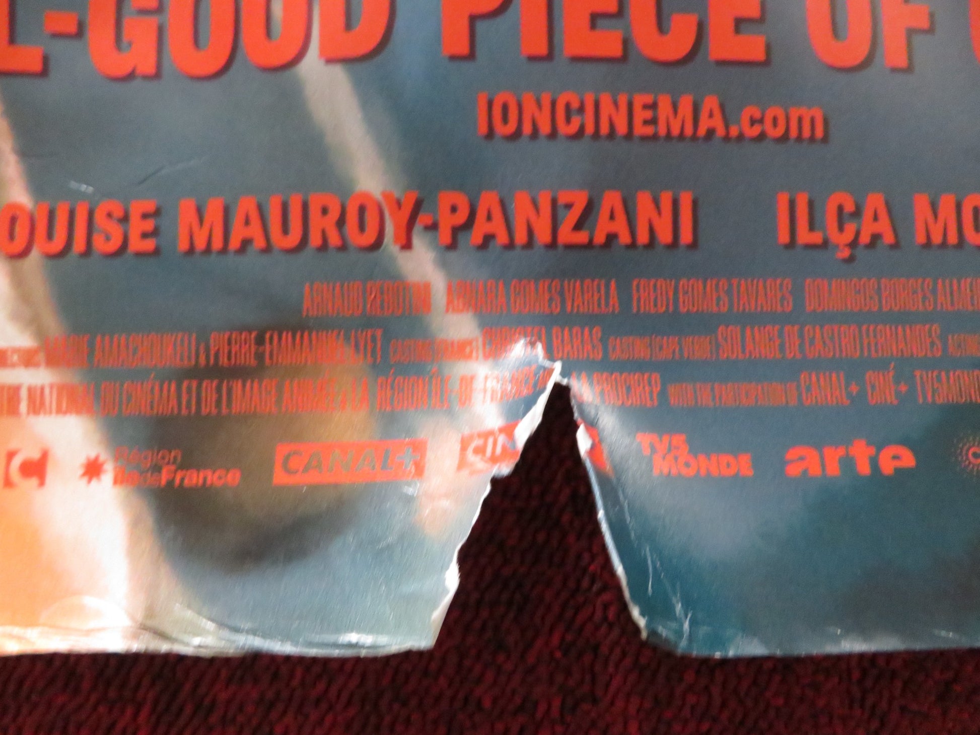 AMA GLORIA UK QUAD ROLLED POSTER LOUISE MAUROY-PANZANI ILCA MORENO ZEGO 2023 - Rendezvous Cinema
