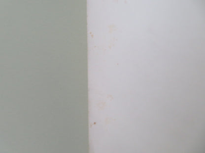 SUPERDAD US HALF SHEET (22"x 28") POSTER DISNEY BOB CRANE KURT RUSSELL 1973 - Rendezvous Cinema