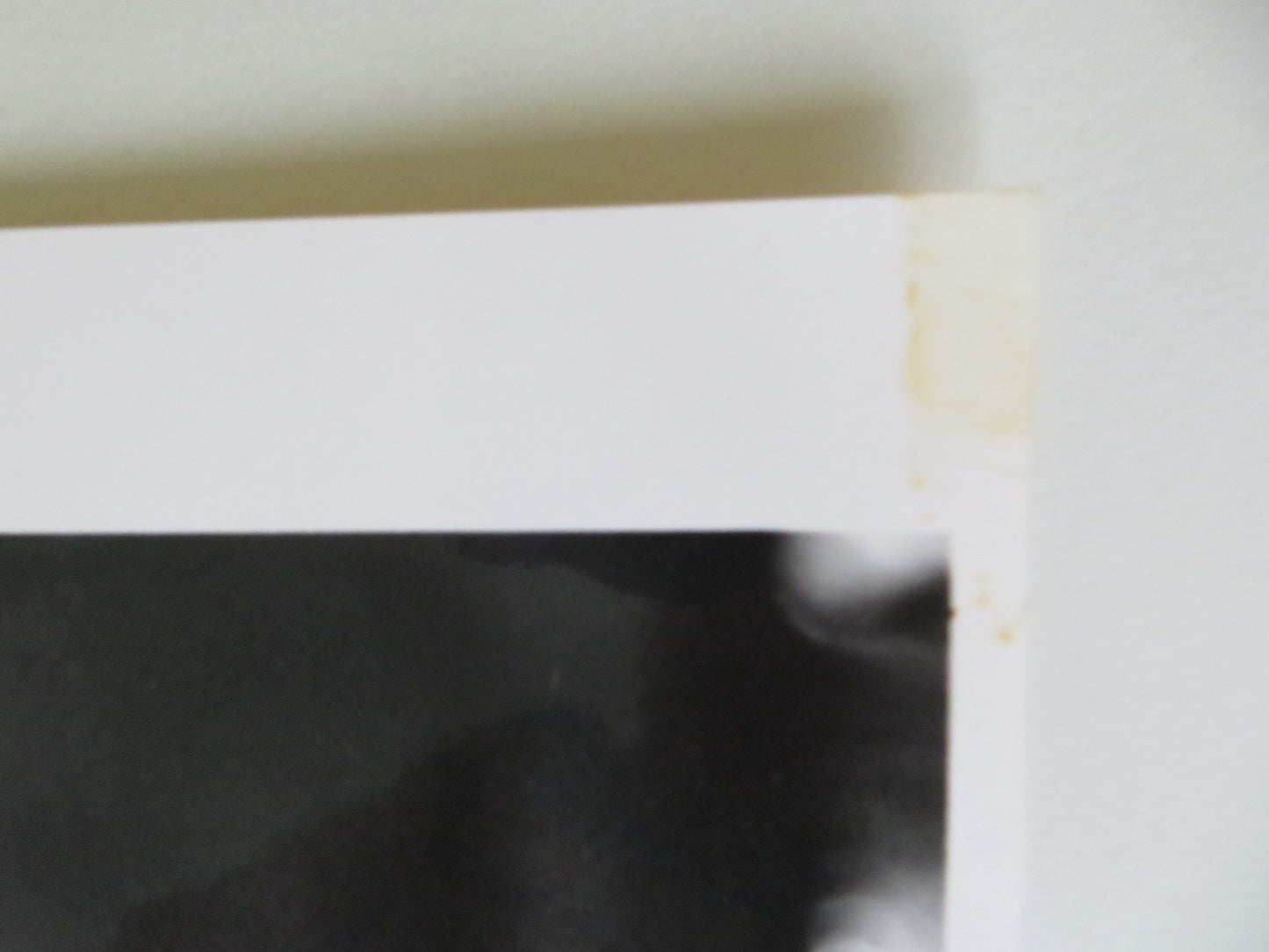 THE BIG EASY MOVIE STILL PHOTO LOT OF 5 DENNIS QUAID ELLEN BARKIN 1986