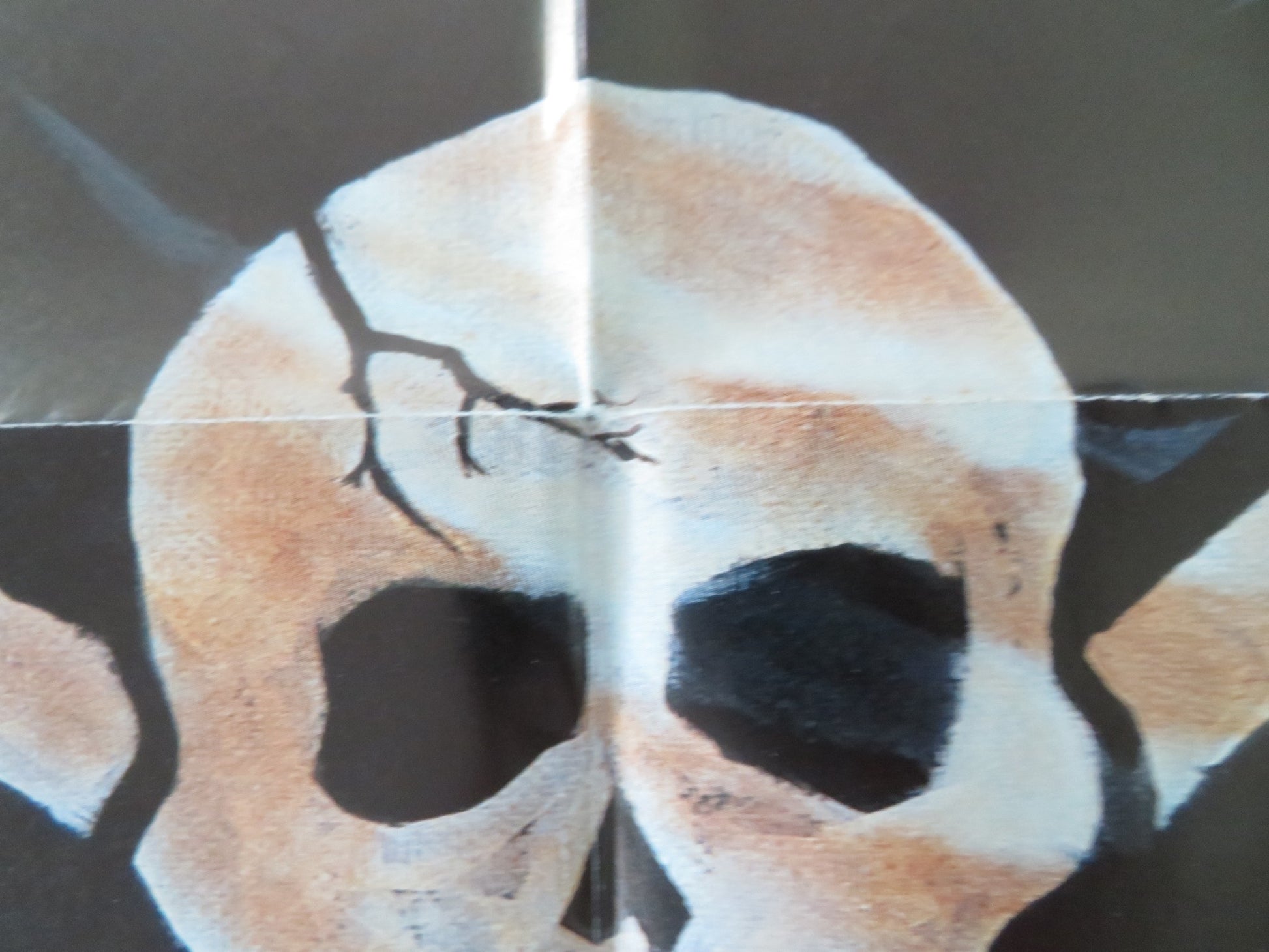 THE PIRATE MOVIE FOLDED US ONE SHEET POSTER TED HAMILTON BILL KERR 1982 - Rendezvous Cinema