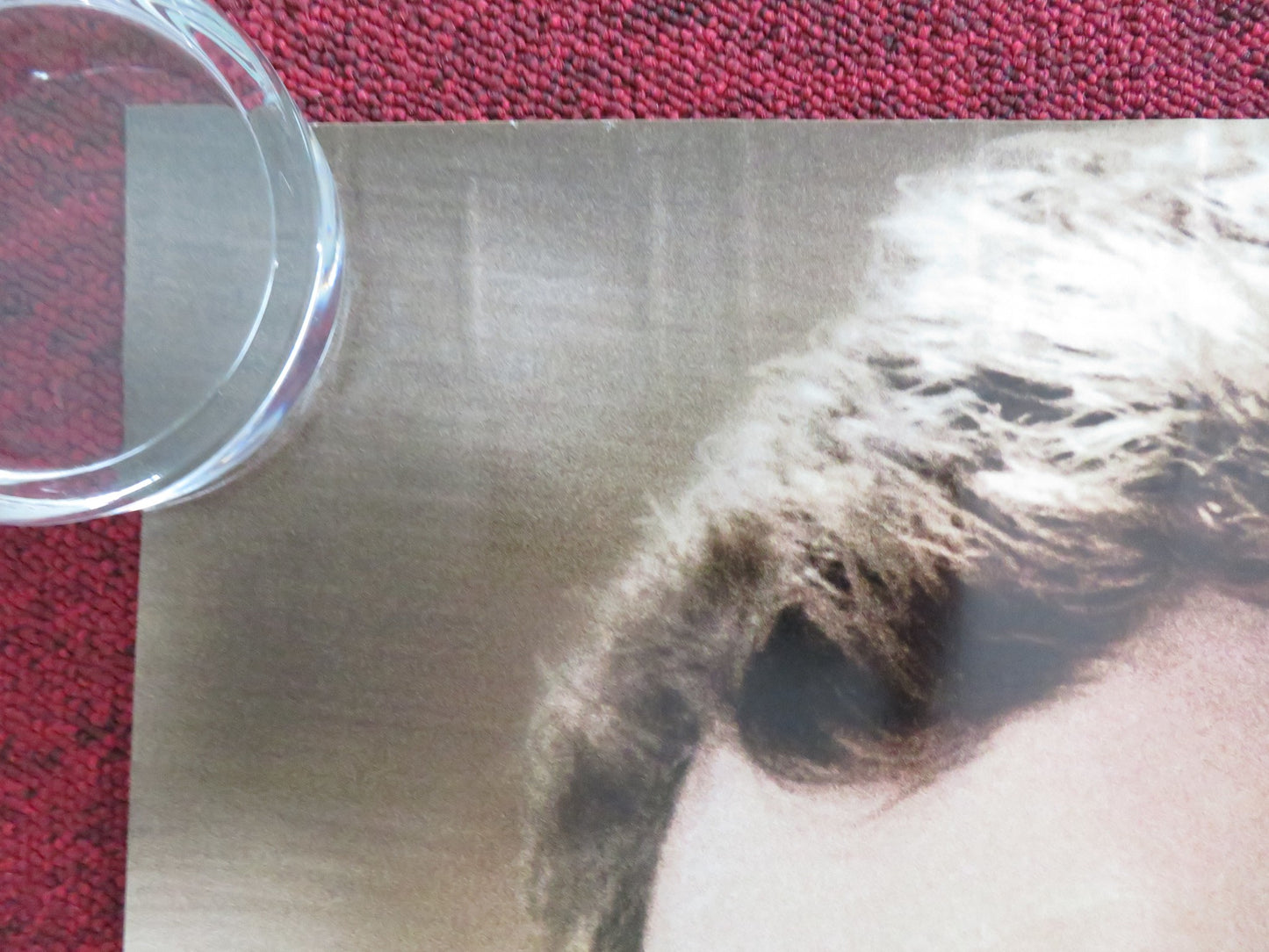 ALFIE - B UK QUAD ROLLED POSTER JUDE LAW MARISA TOMEI 2004 - Rendezvous Cinema