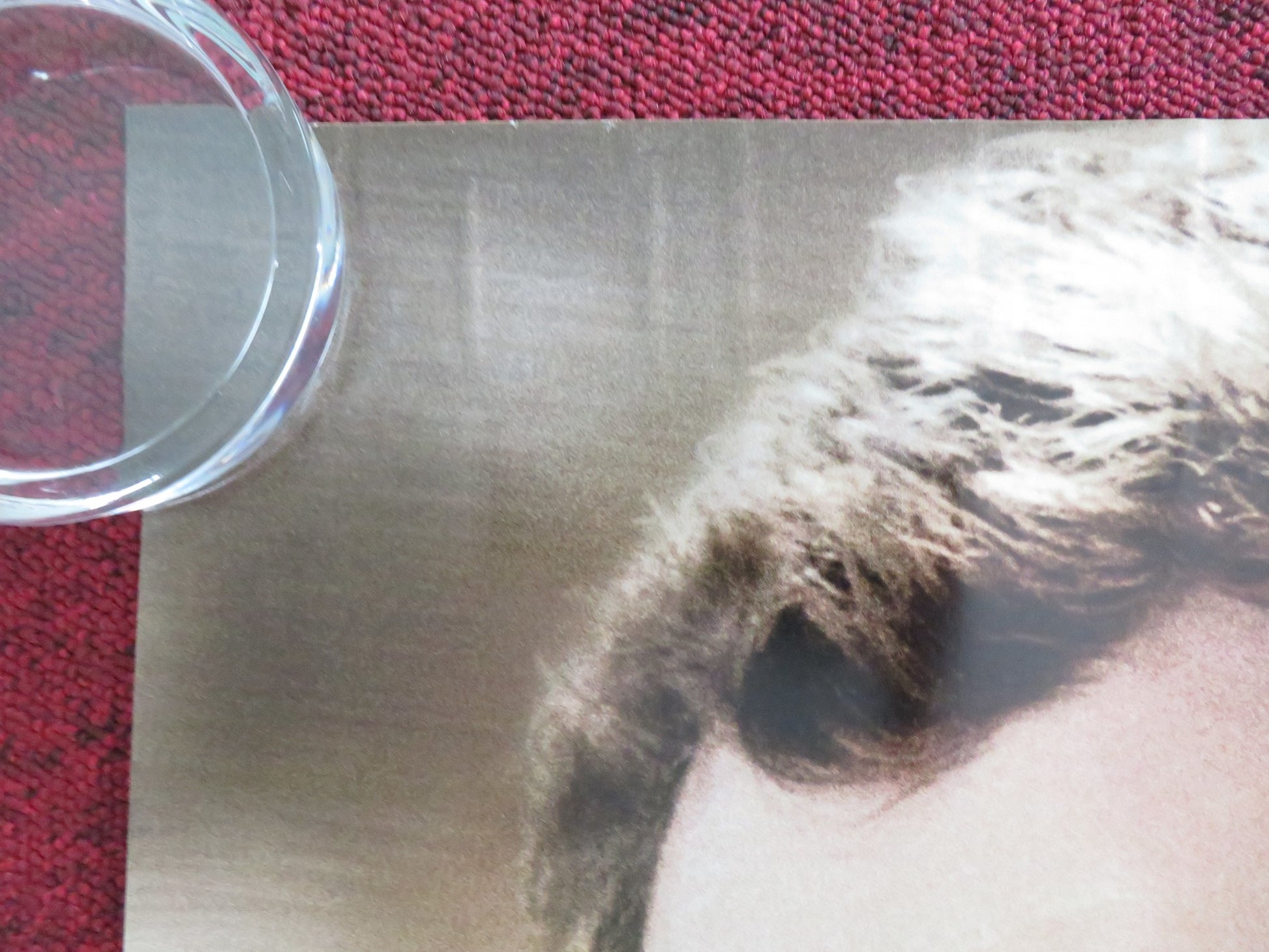 ALFIE - B UK QUAD ROLLED POSTER JUDE LAW MARISA TOMEI 2004 - Rendezvous Cinema