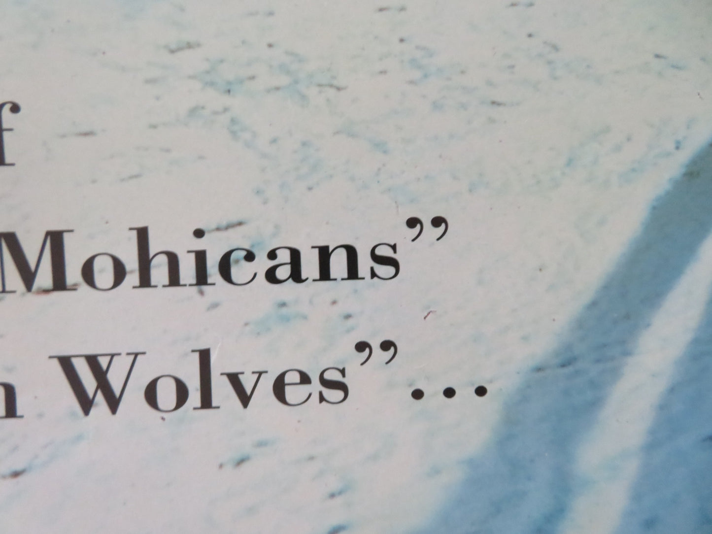 SHADOW OF THE WOLF VHS VIDEO POSTER ROLLED LOU DIAMOND PHILLIPS 1992 - Rendezvous Cinema