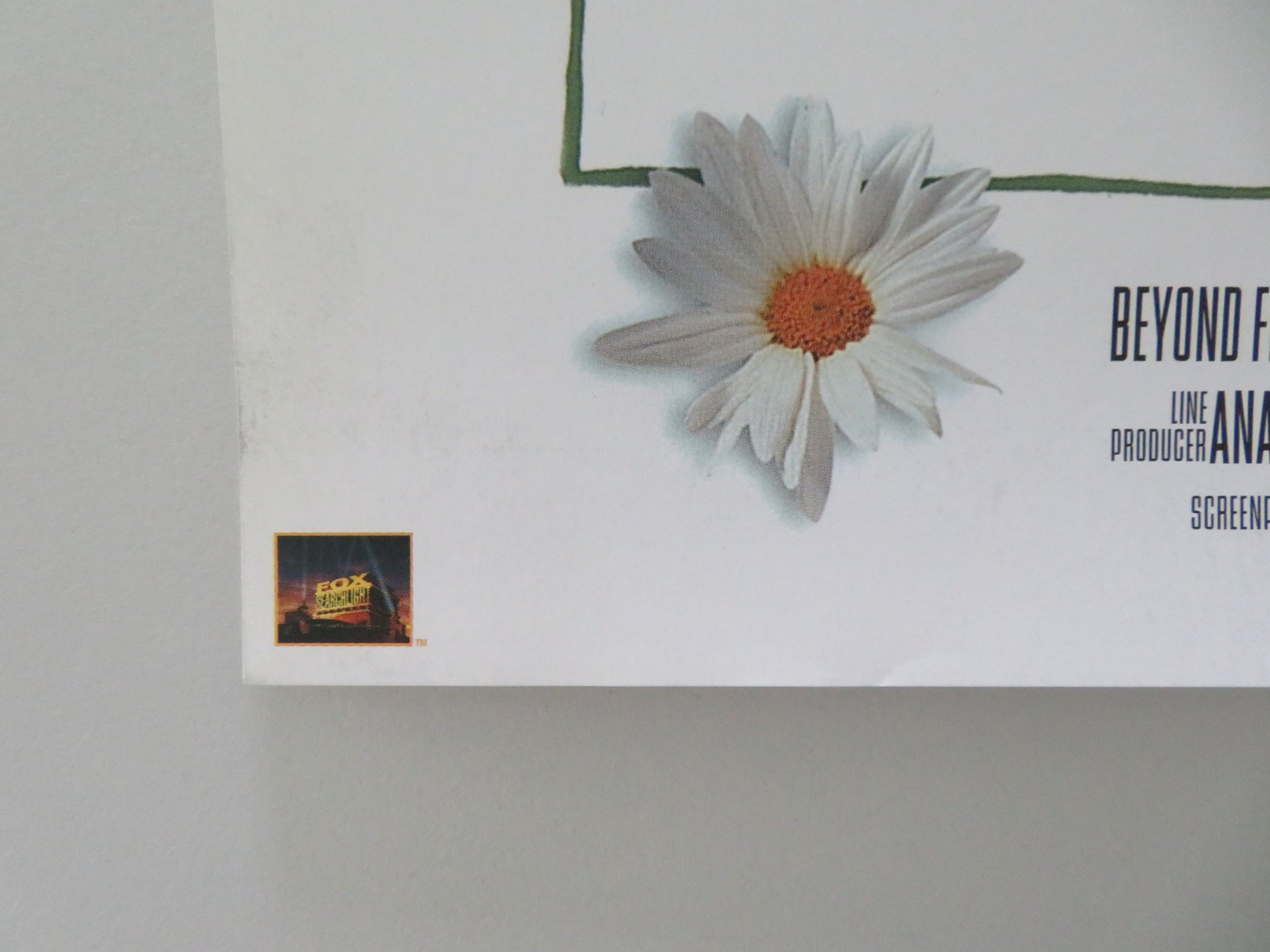 LOVE AND OTHER CATASTROPHES VHS VIDEO POSTER MATT DAY ALICE GARNER 1996 - Rendezvous Cinema