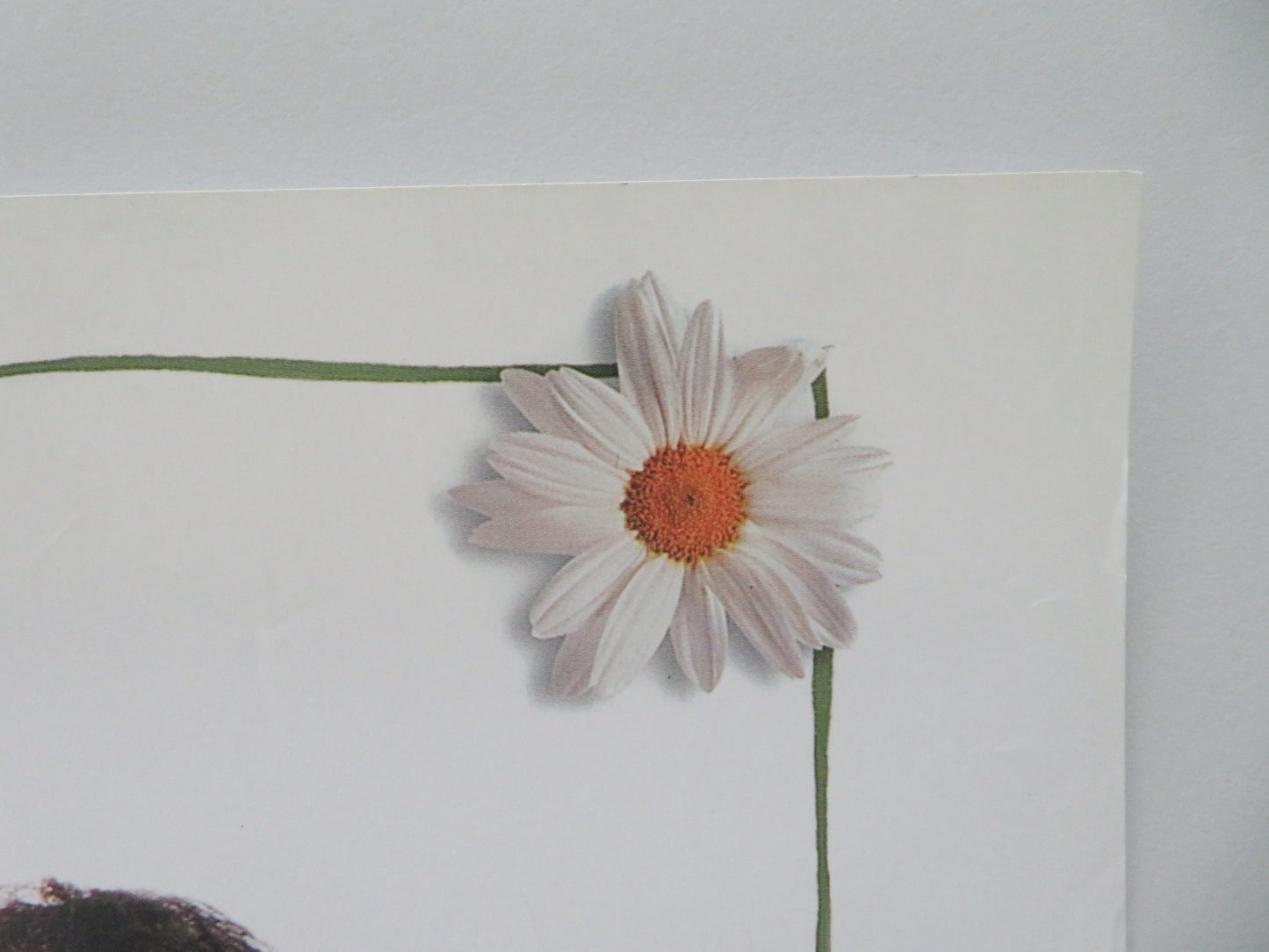 LOVE AND OTHER CATASTROPHES VHS VIDEO POSTER MATT DAY ALICE GARNER 1996 - Rendezvous Cinema