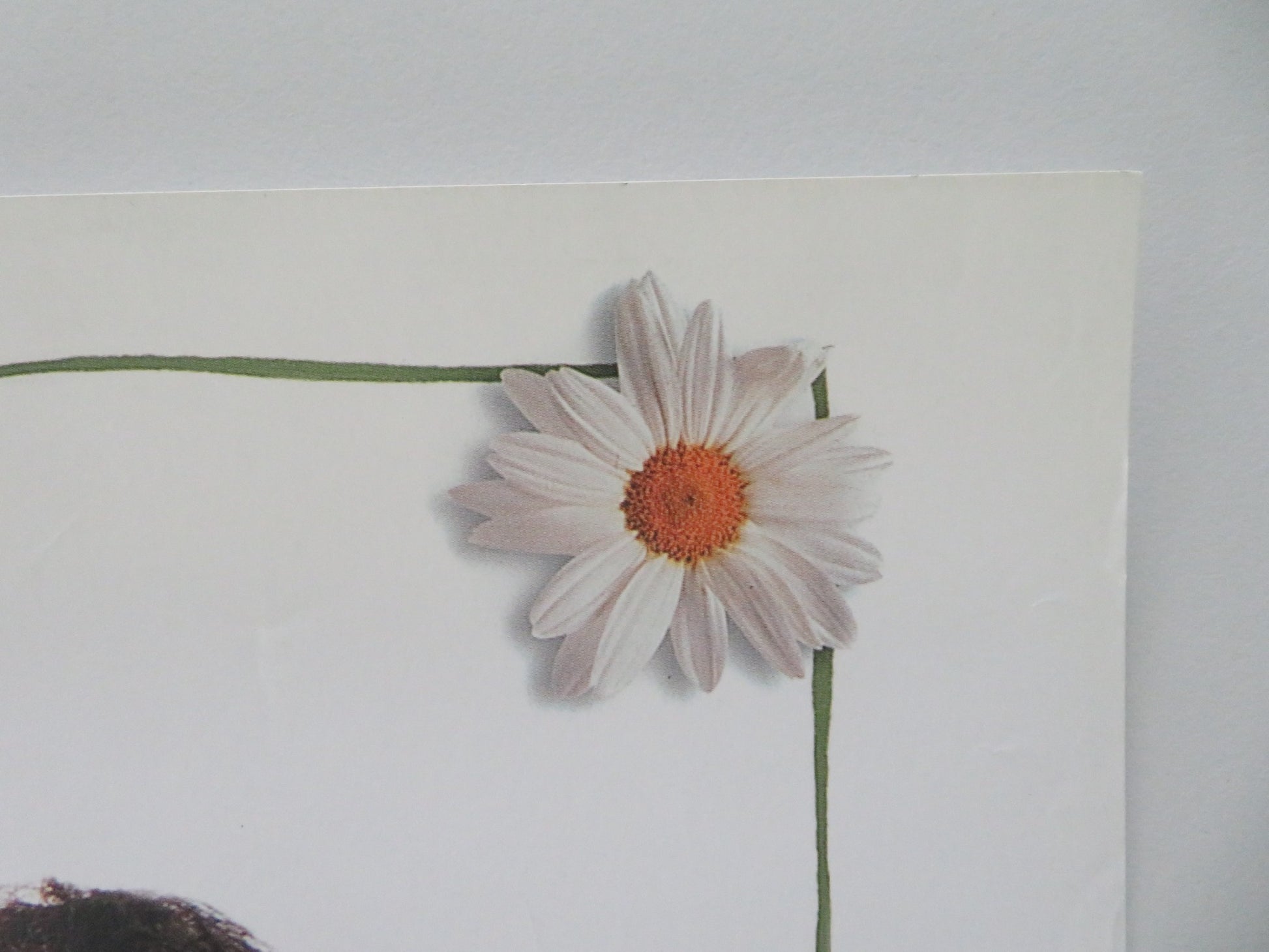 LOVE AND OTHER CATASTROPHES VHS VIDEO POSTER MATT DAY ALICE GARNER 1996 - Rendezvous Cinema