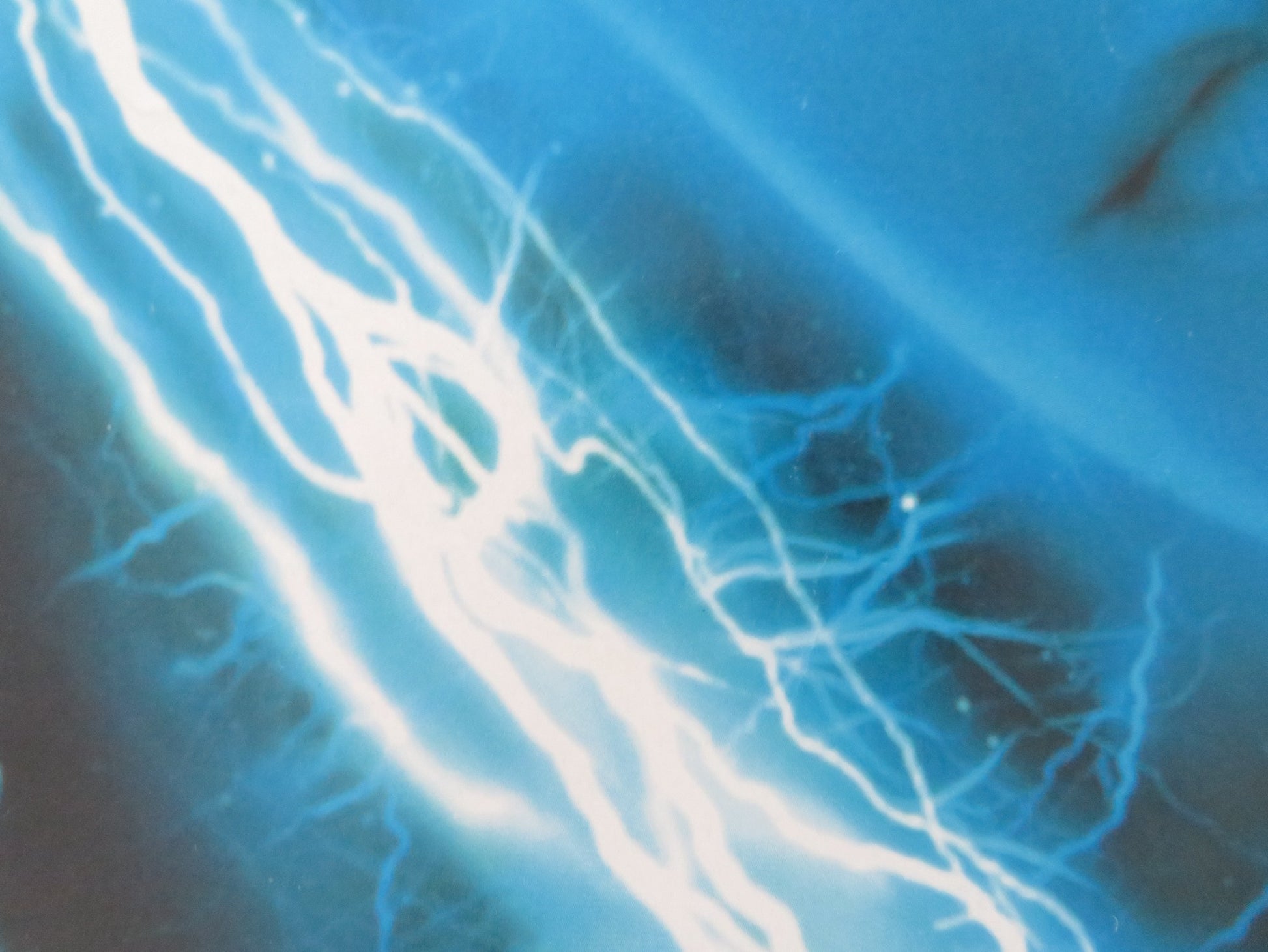 VIRUS VHS VIDEO POSTER JAMIE LEE CURTIS WILLIAM BALDWIN 1999 - Rendezvous Cinema