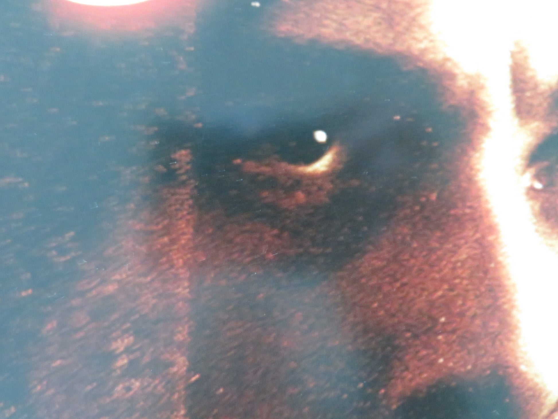 STAY DVD POSTER EWAN MCGREGOR NAOMI WATTS 2005 - Rendezvous Cinema