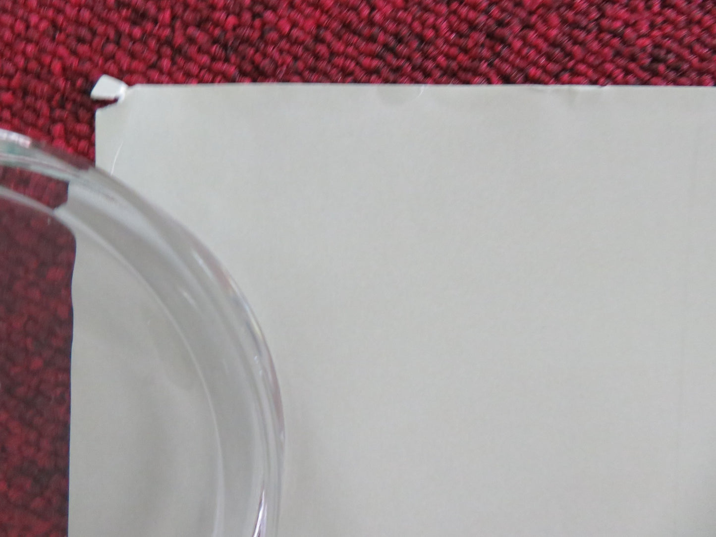 FANCY DANCE UK QUAD ROLLED POSTER LILY GLADSTONE ISABEL DEROY-OLSEN 2023 - Rendezvous Cinema