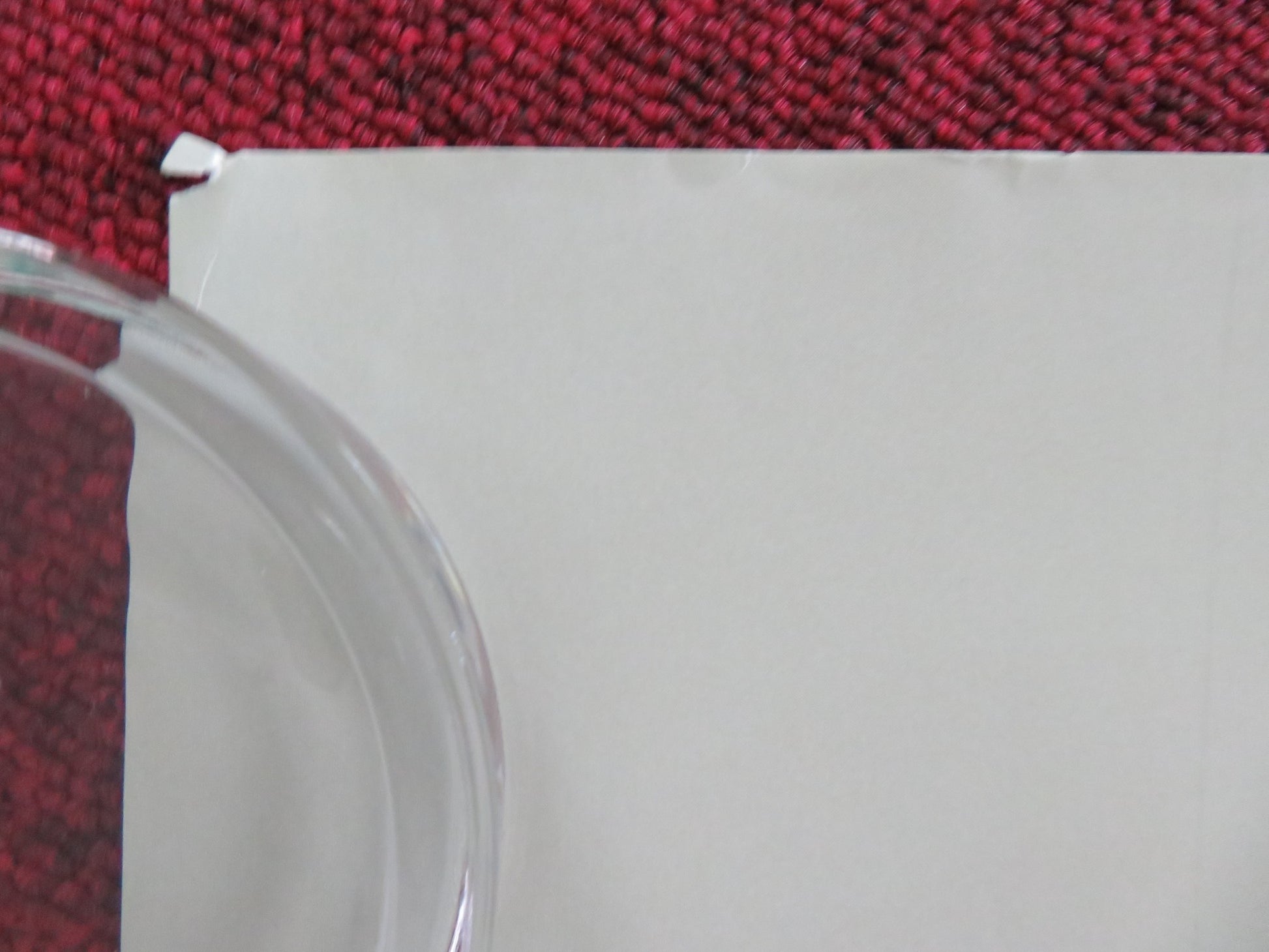 FANCY DANCE UK QUAD ROLLED POSTER LILY GLADSTONE ISABEL DEROY-OLSEN 2023 - Rendezvous Cinema