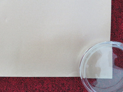 APRIL BFI UK QUAD ROLLED POSTER IA SUKHITASHVILI KAKHA KINTSURASHVILI 2024 - Rendezvous Cinema