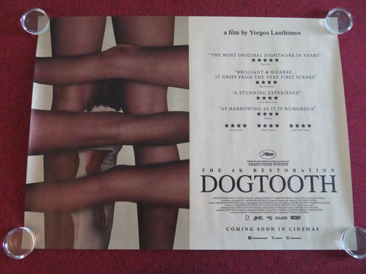 DOGTOOTH - 4K RESTORATION UK QUAD ROLLED POSTER CHRISTOS STERGIOGLOU 2009