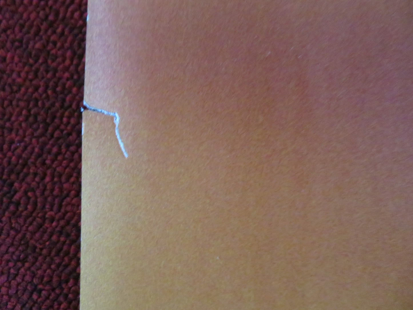 GUILLERMO DEL TORO'S PINOCCHIO UK QUAD ROLLED POSTER EWAN MCGREGOR 2022