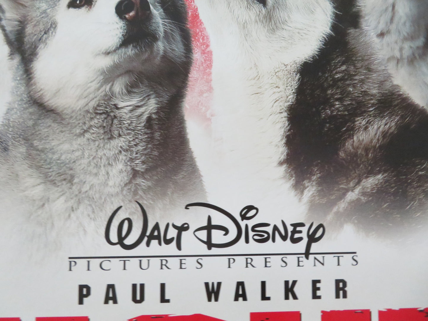 EIGHT BELOW US ONE SHEET ROLLED POSTER DISNEY PAUL WALKER BRUCE GREENWOOD 2006