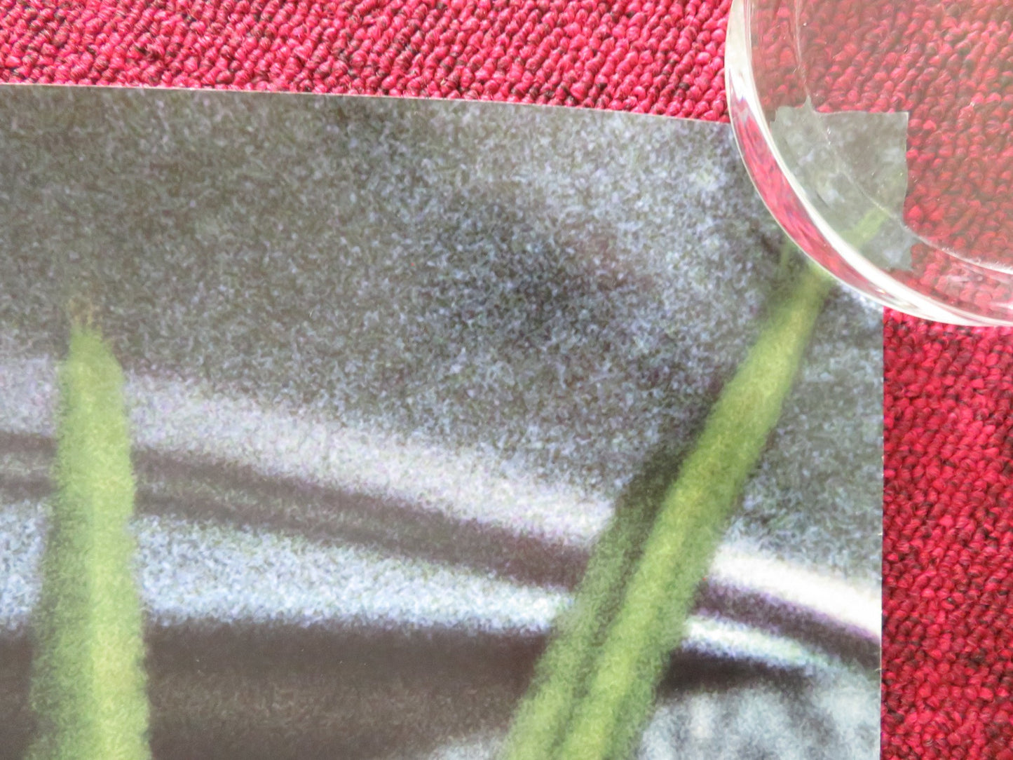 THE THIN RED LINE - VERSION B US ONE SHEET ROLLED POSTER SEAN PENN A. BRODY 1998