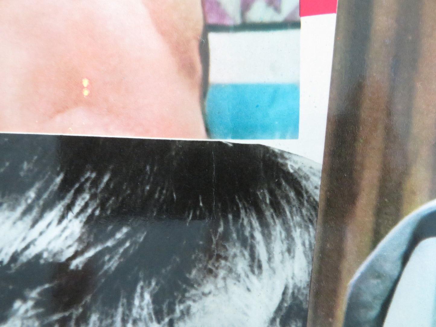 JULIUS CAESAR - D ITALIAN FOTOBUSTA POSTER CHARLTON HESTON DIANA RIGG 1971 - Rendezvous Cinema