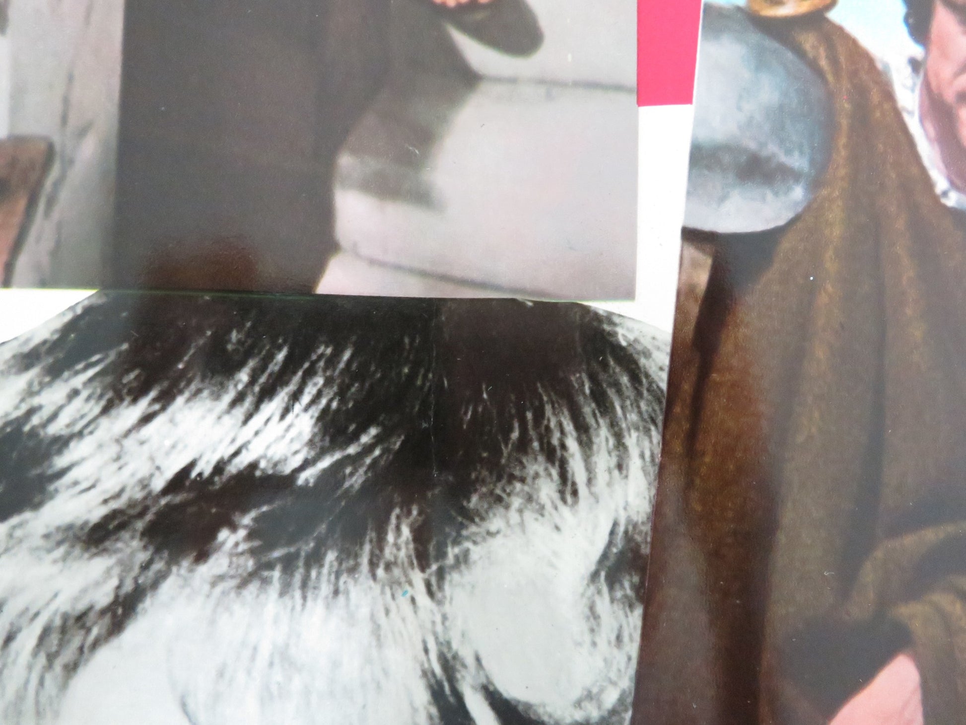 JULIUS CAESAR - E ITALIAN FOTOBUSTA POSTER CHARLTON HESTON DIANA RIGG 1971 - Rendezvous Cinema