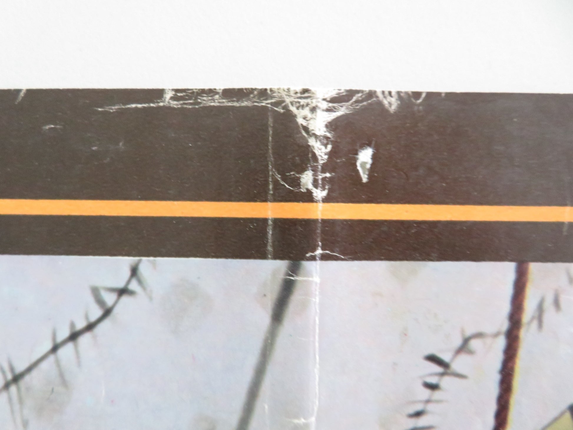 THE CRIMSON PIRATE - B ITALIAN FOTOBUSTA POSTER BURT LANCASTER NICK CRAVAT 1952 - Rendezvous Cinema