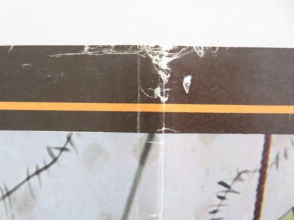 THE CRIMSON PIRATE - B ITALIAN FOTOBUSTA POSTER BURT LANCASTER NICK CRAVAT 1952 - Rendezvous Cinema