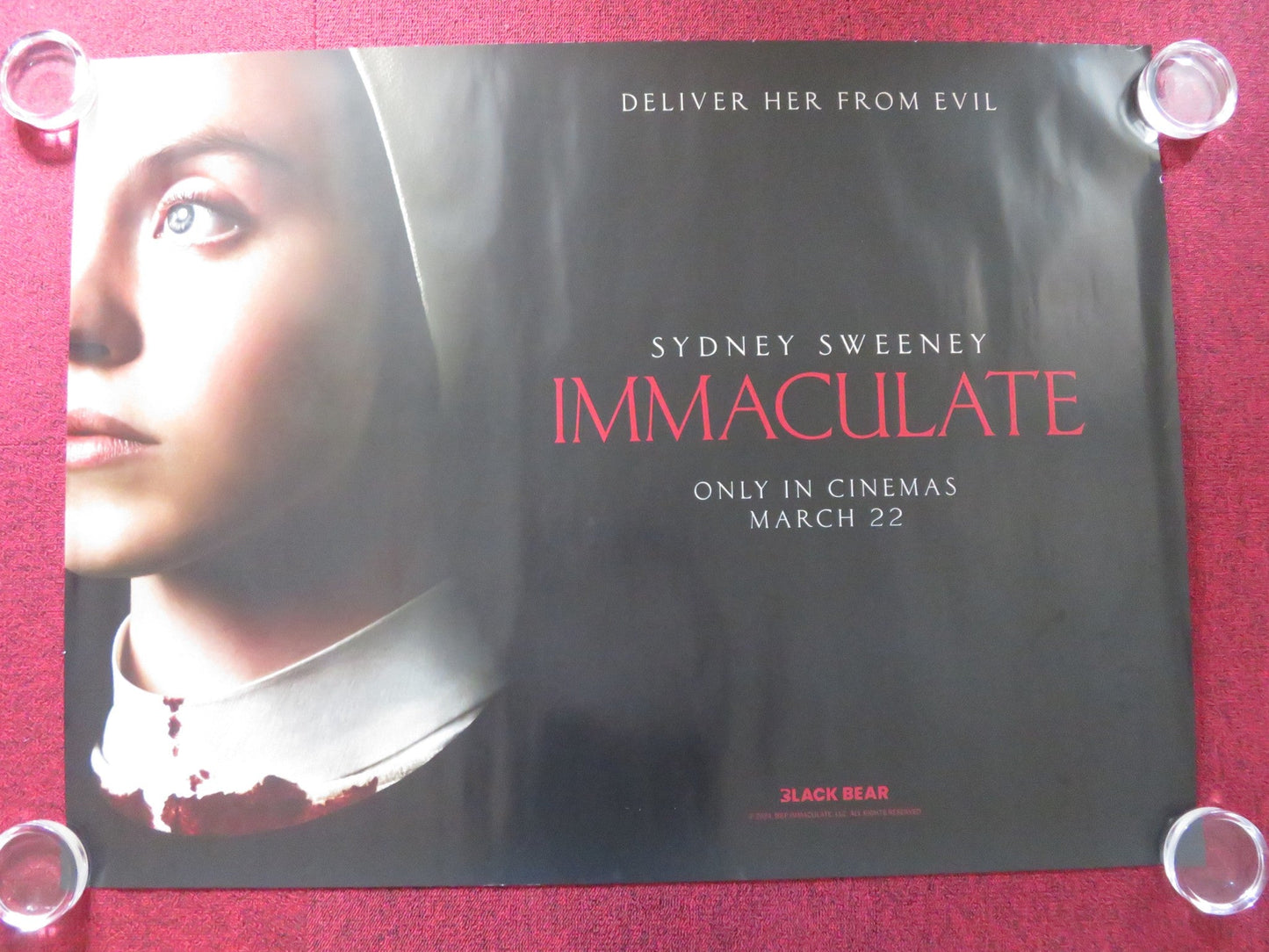 IMMACULATE UK QUAD ROLLED POSTER SYDNEY SWEENEY ALVARO MORTE 2024 Rendezvous Cinema Movie posters