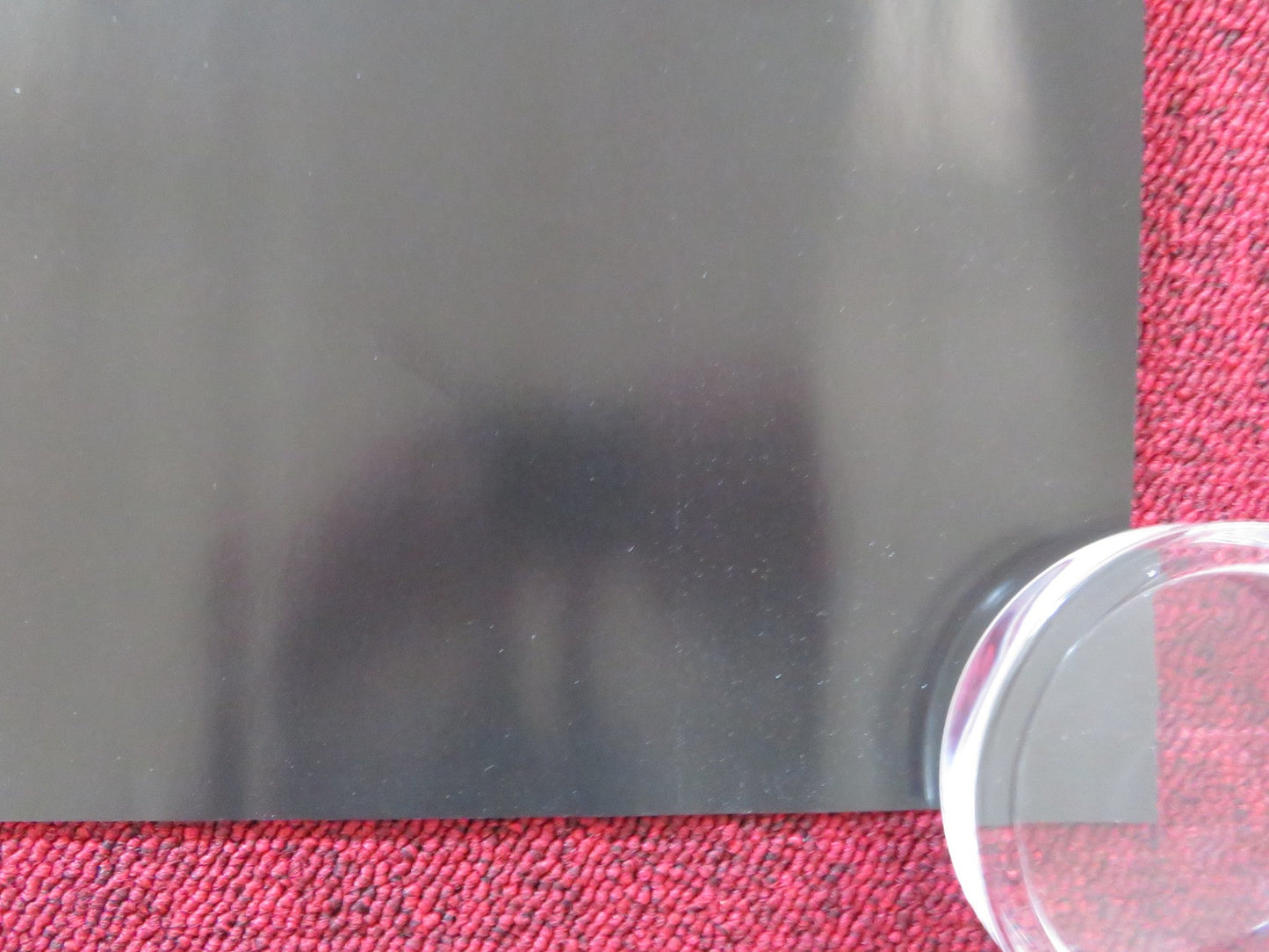 IMMACULATE UK QUAD ROLLED POSTER SYDNEY SWEENEY ALVARO MORTE 2024 Rendezvous Cinema Movie posters