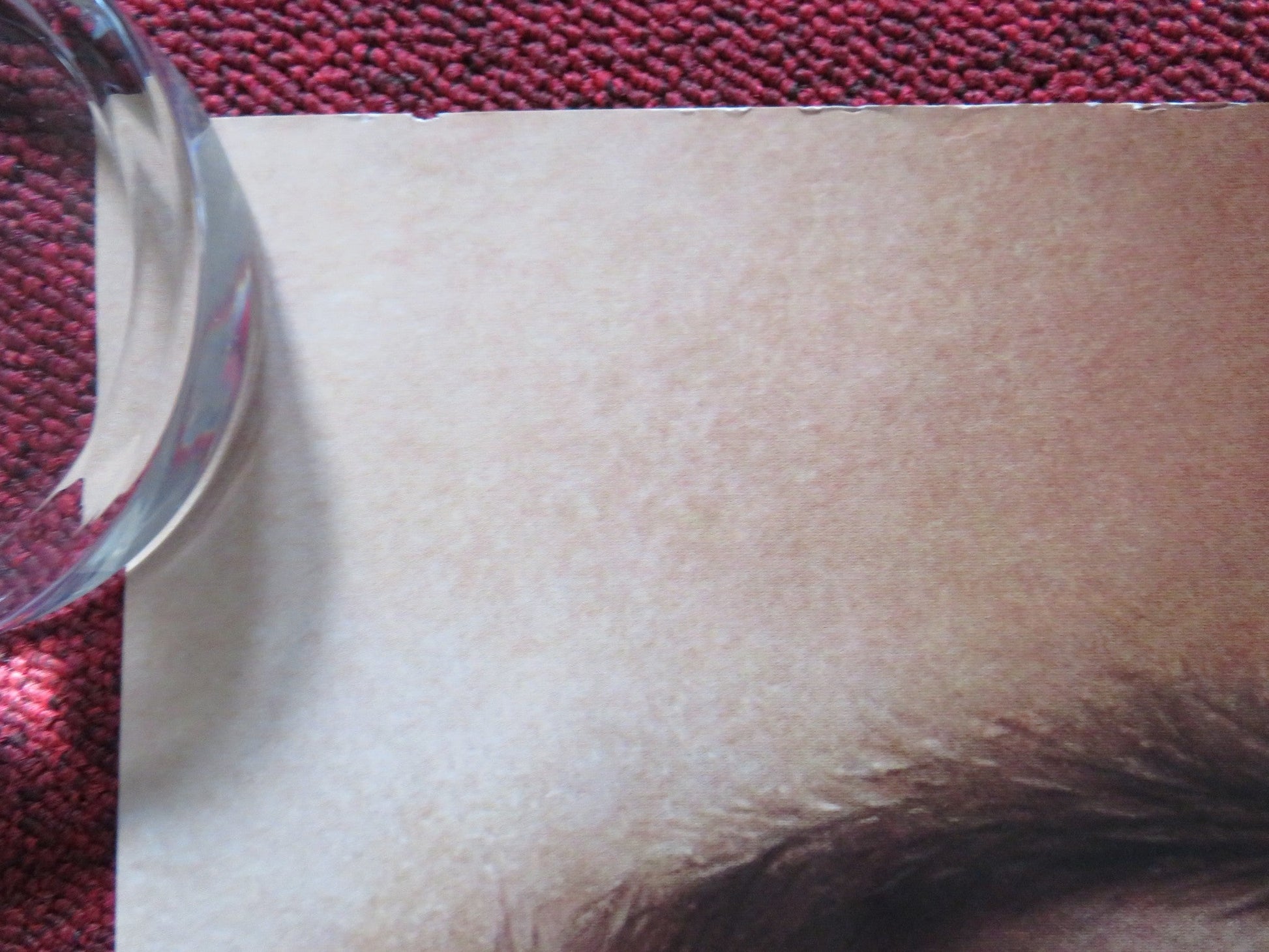 IMMACULATE UK QUAD ROLLED POSTER SYDNEY SWEENEY ALVARO MORTE 2024 Rendezvous Cinema Movie posters