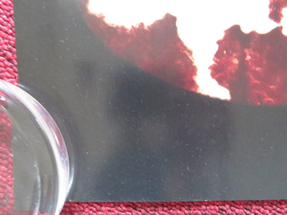 IMMACULATE UK QUAD ROLLED POSTER SYDNEY SWEENEY ALVARO MORTE 2024 Rendezvous Cinema Movie posters