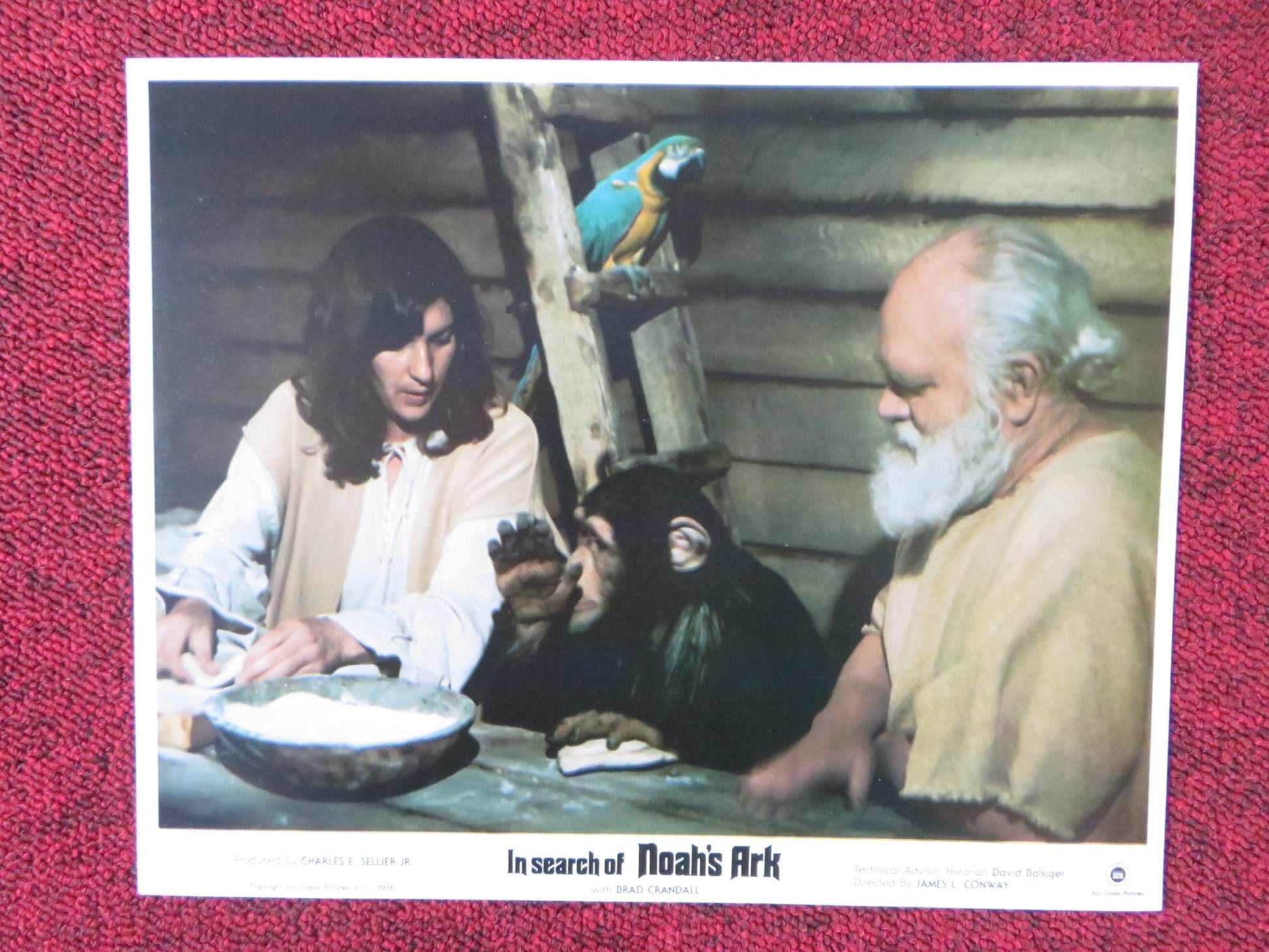 IN SEARCH OF NOAH'S ARK - C LOBBY CARD VERN ADIX MELVIN COOK 1976 Rendezvous Cinema Movie posters