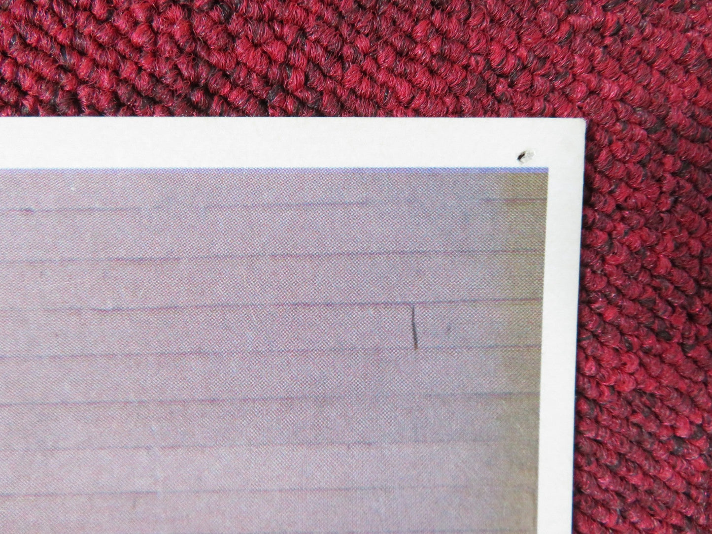 IN SEARCH OF NOAH'S ARK LOBBY CARD VERN ADIX MELVIN COOK 1976 Rendezvous Cinema Movie posters