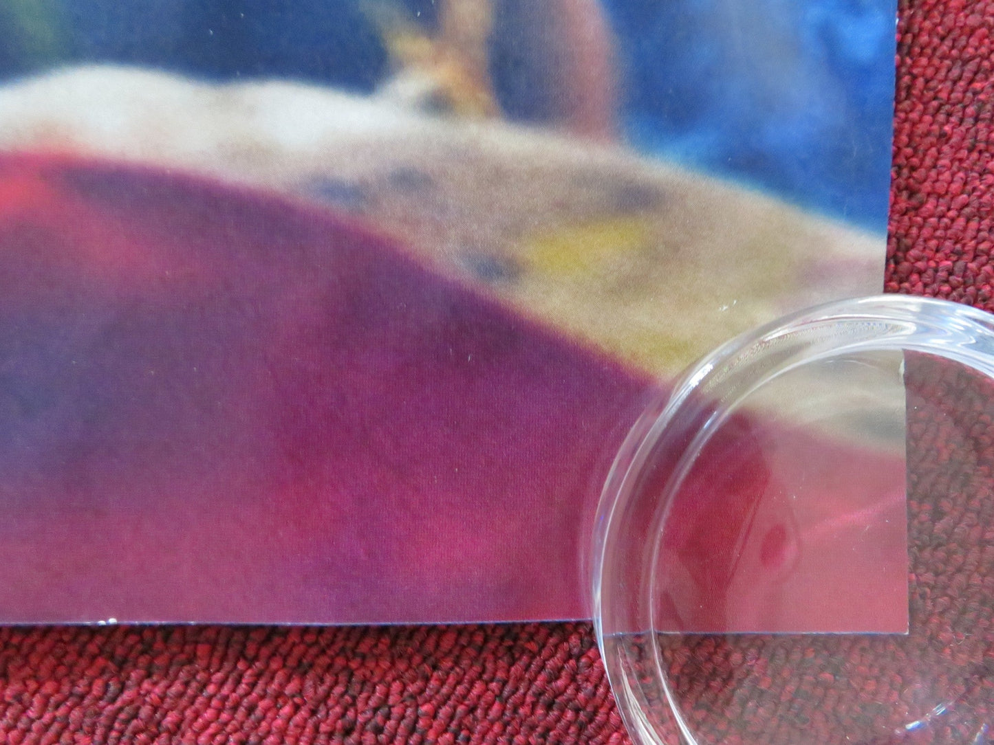 IN THE HEIGHTS - B UK QUAD ROLLED POSTER ANTHONY RAMOS MELISSA BARRERA 2021 Rendezvous Cinema Movie posters