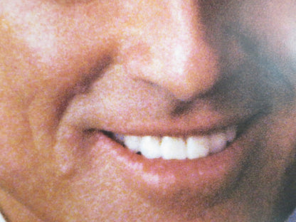 INDECENT PROPOSAL - D DOOR PANEL POSTER ROLLED ROBERT REDFORD 1993 Rendezvous Cinema Movie posters