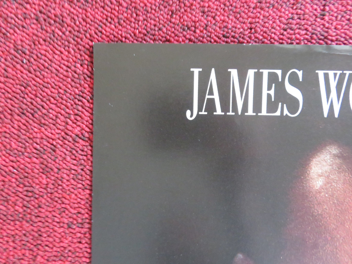 INDICTMENT: THE MCMARTIN TRIAL VHS VIDEO POSTER JAMES WOODS MERCEDES RUEHL 1995 Rendezvous Cinema Movie posters