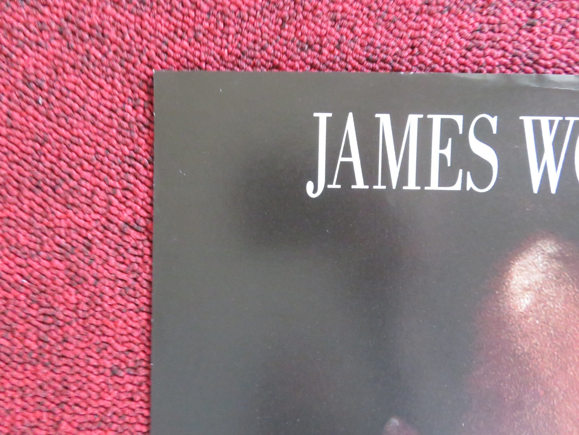 INDICTMENT: THE MCMARTIN TRIAL VHS VIDEO POSTER JAMES WOODS MERCEDES RUEHL 1995 Rendezvous Cinema Movie posters