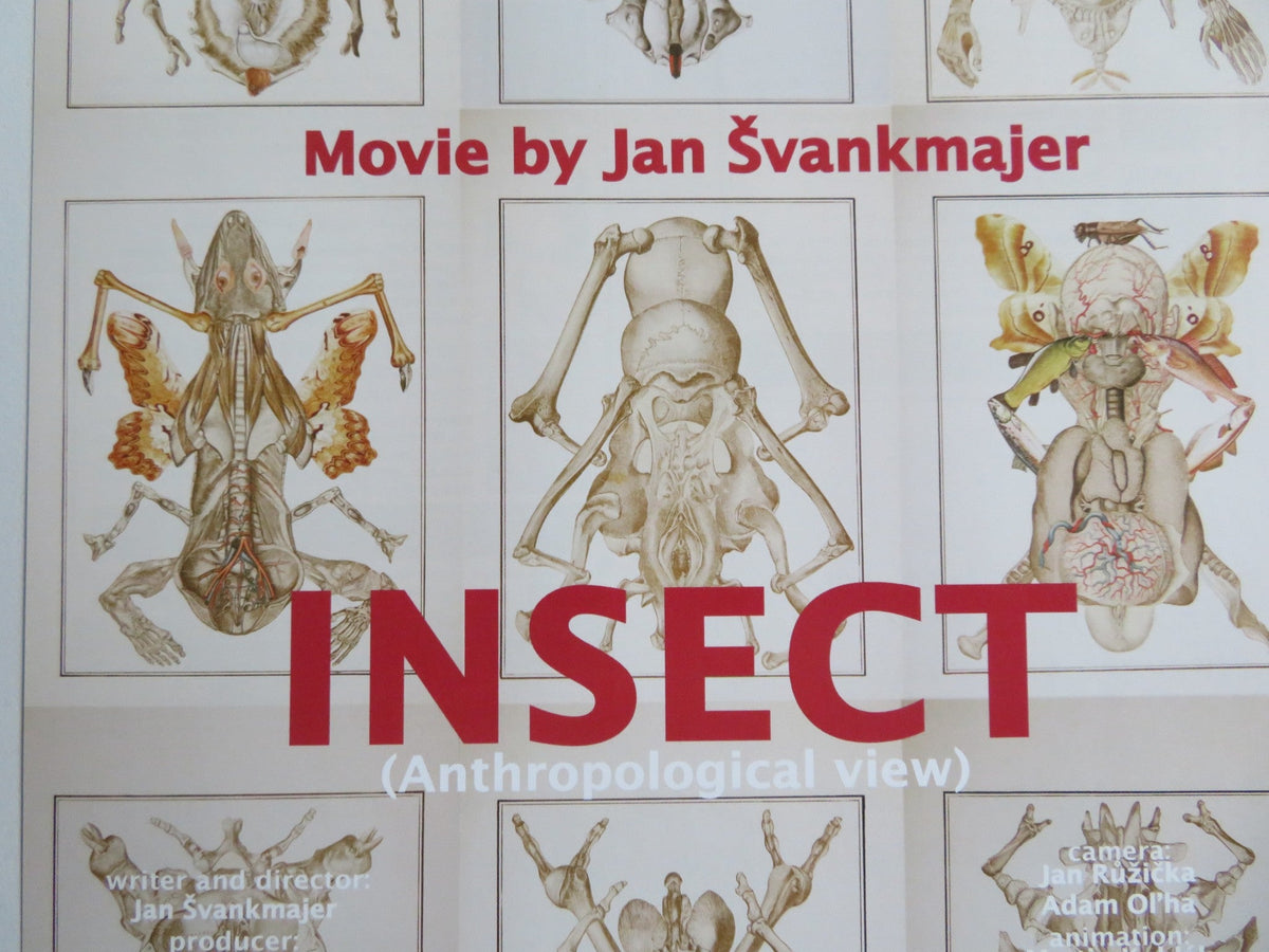 INSECT- B JAPANESE CHIRASHI (B5) POSTER IVANA UHLIROVA JAN BUDAR 2018 - Rendezvous Cinema