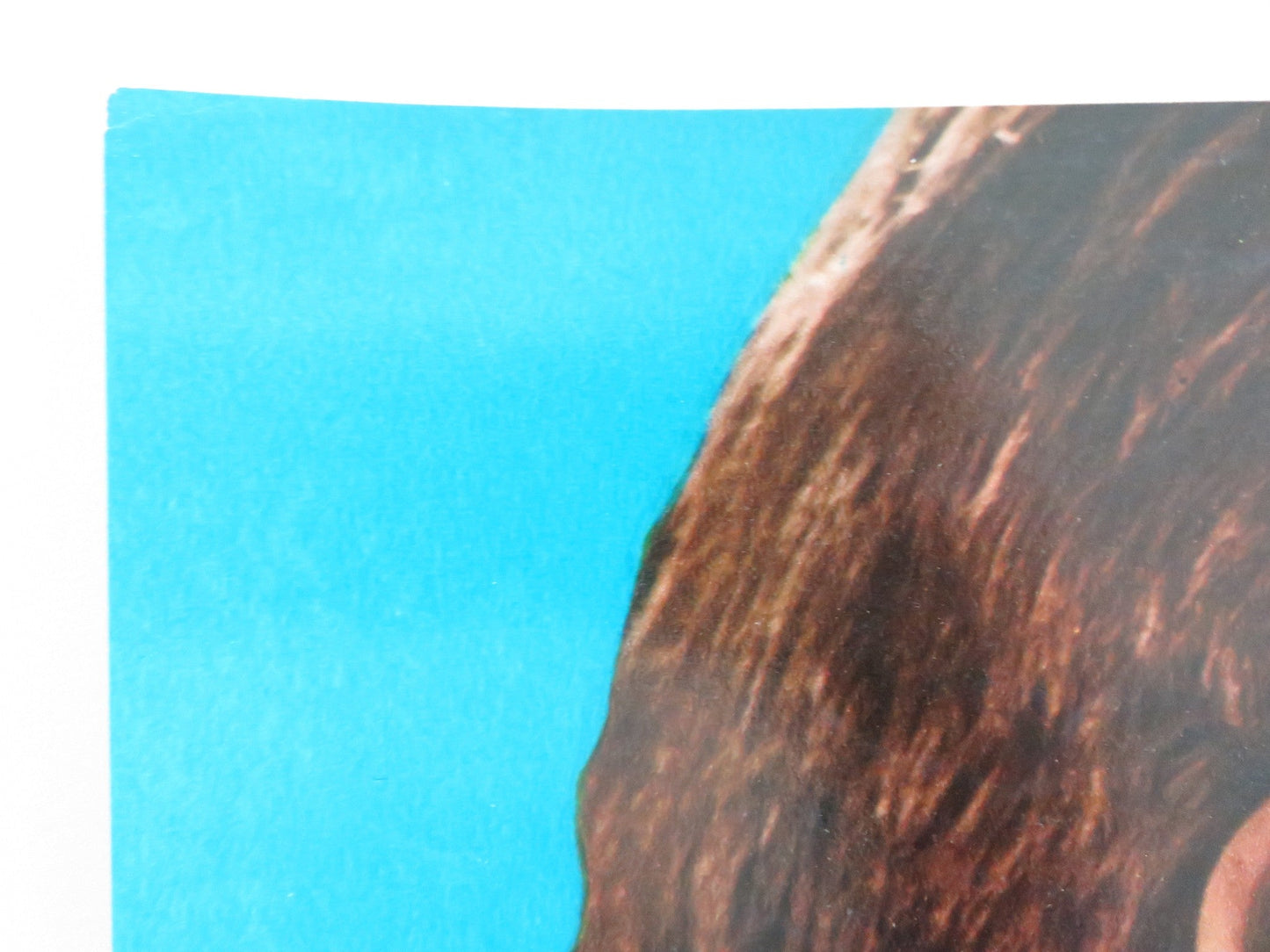 INTERLUDE - C ITALIAN FOTOBUSTA POSTER OSKAR WERNER BARBARA FERRIS 1968 Movie posters