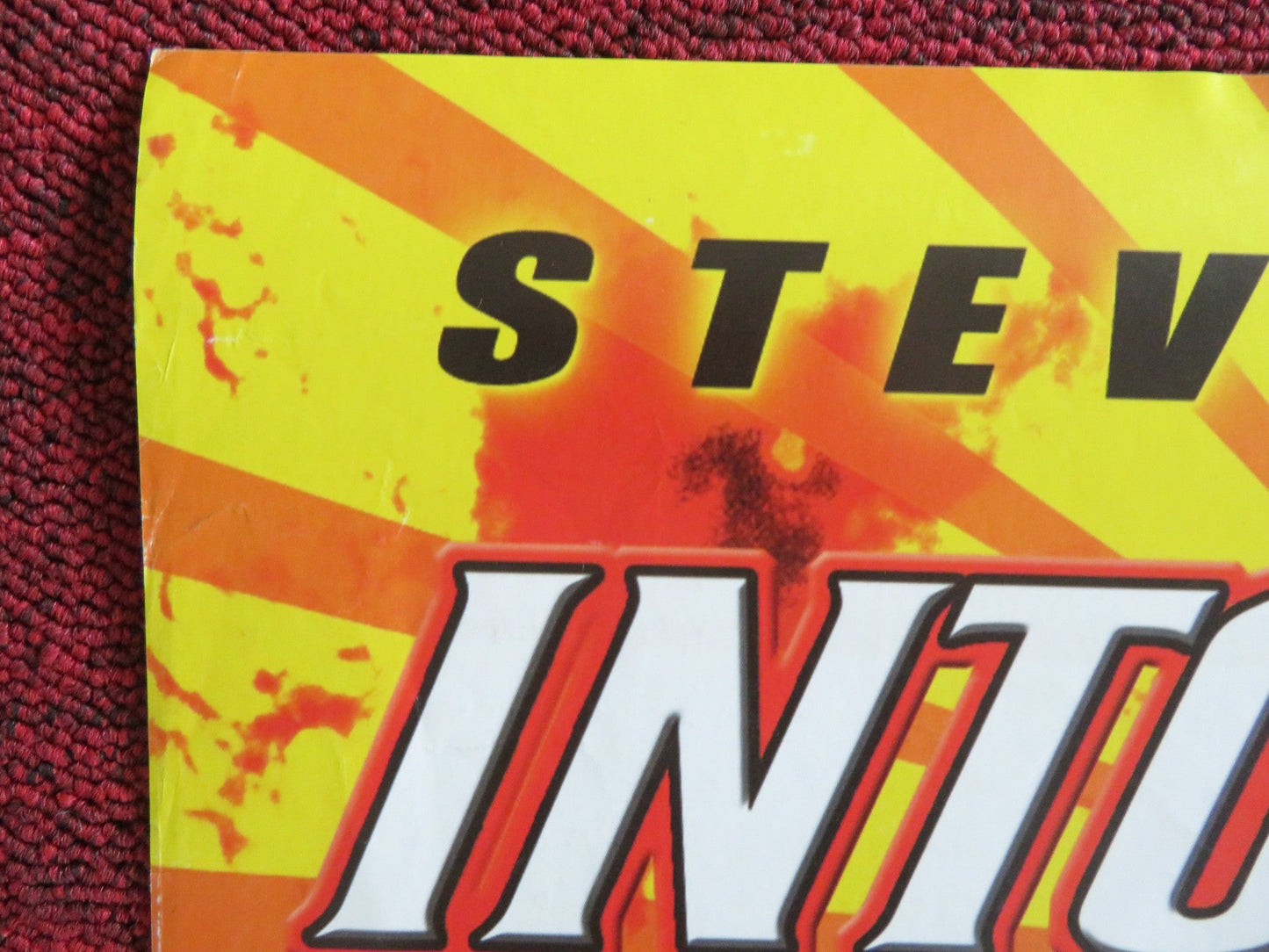 INTO THE SUN VHS VIDEO POSTER STEVEN SEAGAL MATTHEW DAVIS 2004 Rendezvous Cinema Movie posters