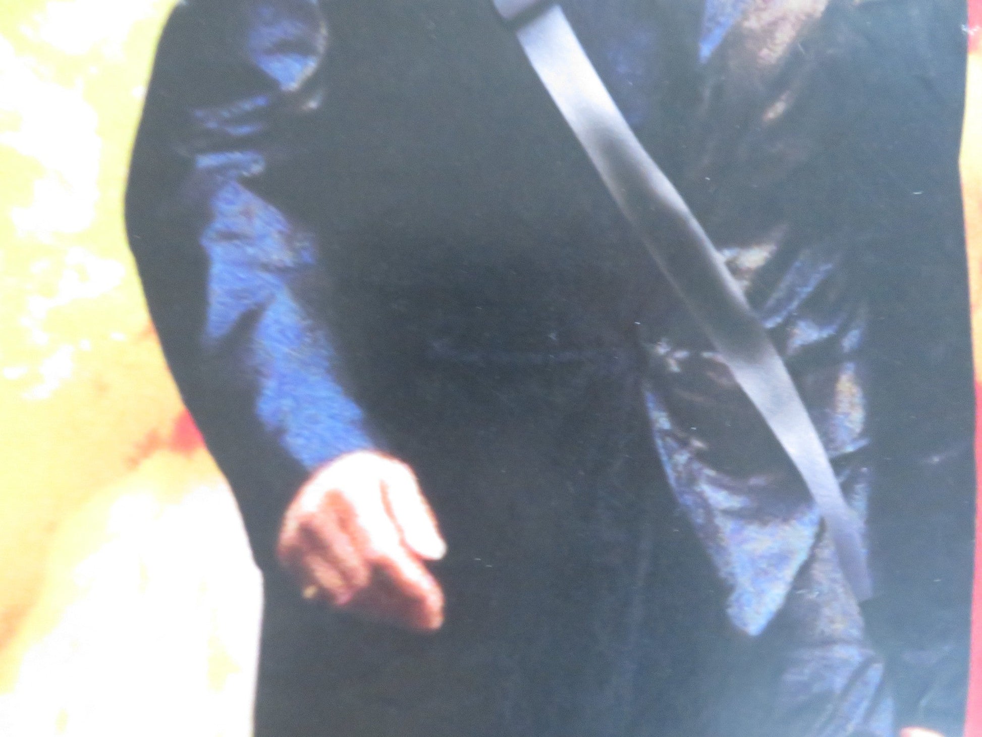 INTO THE SUN VHS VIDEO POSTER STEVEN SEAGAL MATTHEW DAVIS 2004 Rendezvous Cinema Movie posters