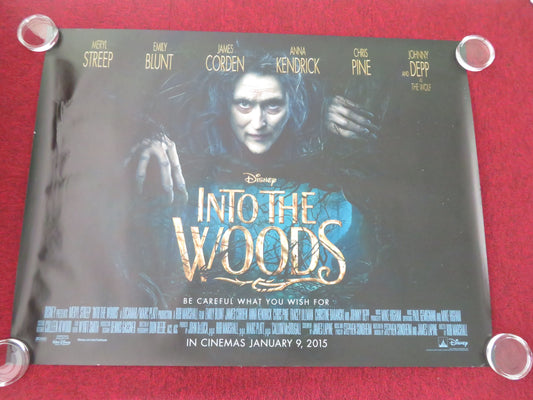 Into the Woods UK Quad Rolled Poster Disney Anna Kendrick Meryl Streep 2014 Movie posters
