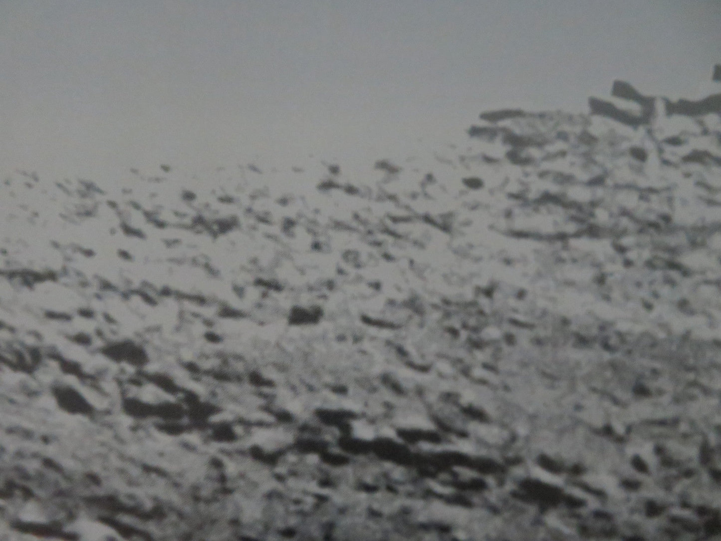 IPHIGENIE IN FREIHEIT GERMAN POSTER ROLLED VOLKER BRAUN 1992 Movie posters